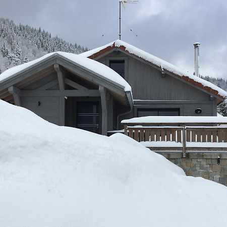 Chalet Bel Horizon La Montagne Des Lamas 拉布雷斯 外观 照片